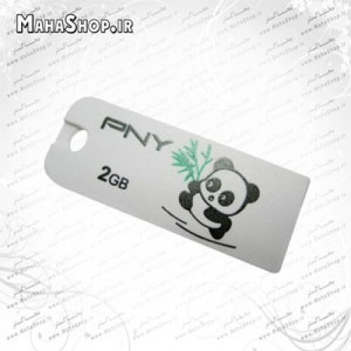 فلش مموری PNY 2GB Micro